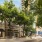 a street with trees and buildings